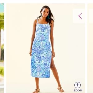 Lilly Pulitzer Blue and White Dress